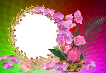 照片效果分类 各种节日 № 121122