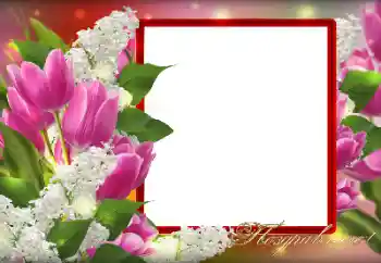 照片效果分类 各种节日 № 128349. 边框标语: 恭喜你！