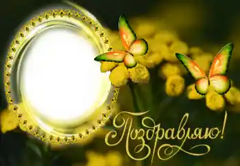 照片效果分类 各种节日 № 131482. 边框标语: 恭喜你！