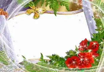 照片效果分类 各种节日 № 141158
