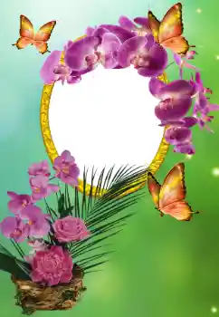 照片效果分类 各种节日 № 150615 照片效果分类 各种节日 № 150615