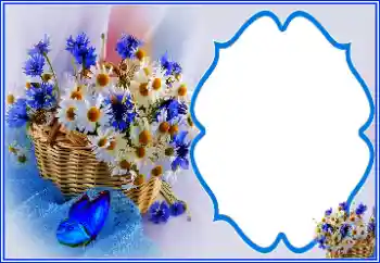 照片效果分类 各种节日 № 151810