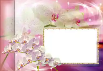 照片效果分类 各种节日 № 153160