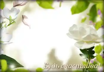 照片效果分类 各种节日 № 158263. 边框标语: 恭喜你！
