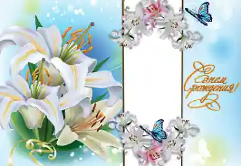照片效果分类 各种节日 № 158453. 边框标语: 恭喜你！