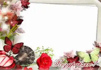 照片效果分类 各种节日 № 159471. 边框标语: 恭喜你！