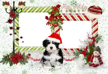照片效果分类 各种节日 № 163336. 边框标语: Happy Holidays