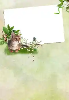 照片效果分类 各种节日 № 167762