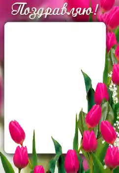 边框标语: 恭喜你! 边框标语: 恭喜你!