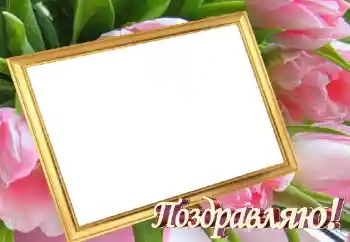 照片效果分类 各种节日 № 45899. 边框标语: 恭喜你！