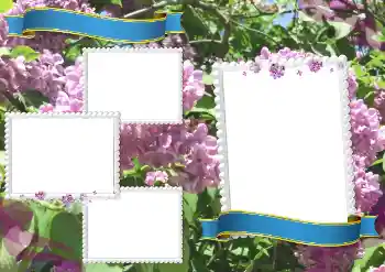 照片效果分类 各种学生相册 № 205334