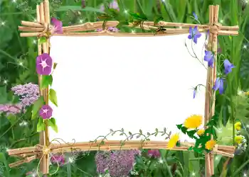 照片效果分类 夏 № 1001