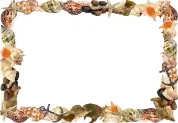 照片效果分类 夏 № 102596