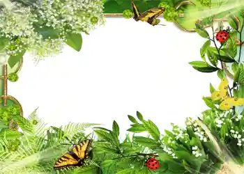 照片效果分类 夏 № 1109 照片效果分类 夏 № 1109
