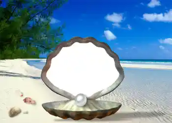 照片效果分类 夏 № 1111 照片效果分类 夏 № 1111