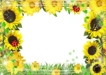 照片效果分类 夏 № 1113 照片效果分类 夏 № 1113