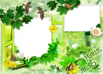 照片效果分类 夏 № 1120