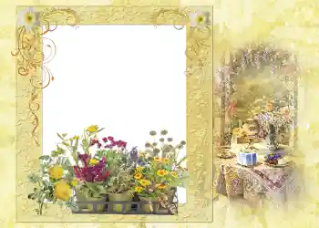 照片效果分类 夏 № 1121