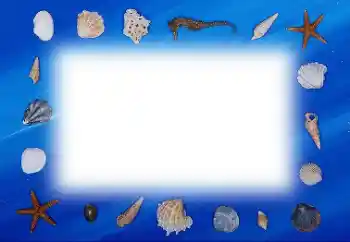 照片效果分类 夏 № 113121