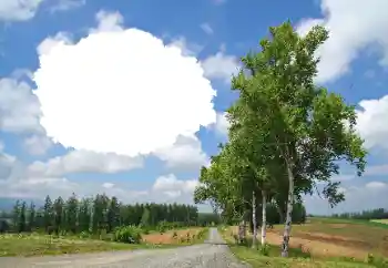 照片效果分类 夏 № 114245