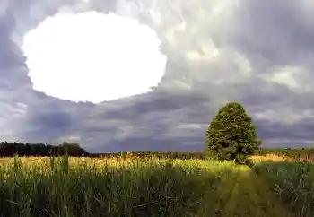 照片效果分类 夏 № 114385