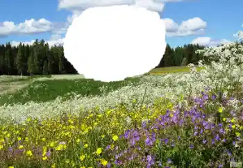 照片效果分类 夏 № 114457 照片效果分类 夏 № 114457