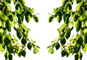 照片效果分类 夏 № 114501 照片效果分类 夏 № 114501