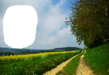 照片效果分类 夏 № 114551 照片效果分类 夏 № 114551