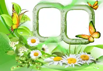 照片效果分类 夏 № 115844 照片效果分类 夏 № 115844