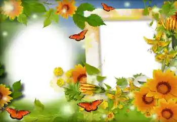 照片效果分类 夏 № 116126 照片效果分类 夏 № 116126