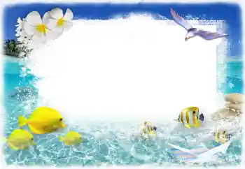 照片效果分类 夏 № 117731
