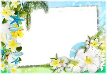 照片效果分类 夏 № 117734