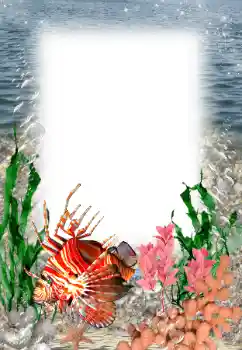 照片效果分类 夏 № 121109