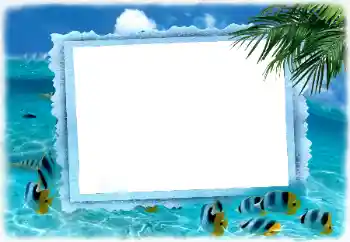 照片效果分类 夏 № 122185