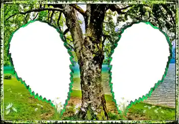照片效果分类 夏 № 123182
