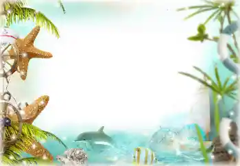 照片效果分类 夏 № 124277