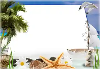 照片效果分类 夏 № 124278