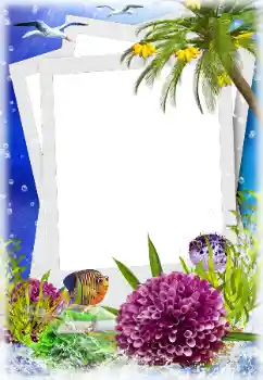照片效果分类 夏 № 124280