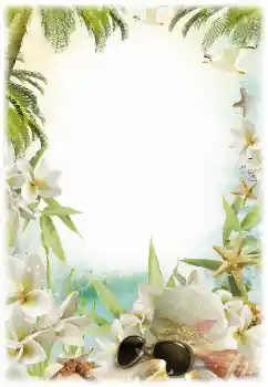 照片效果分类 夏 № 124281