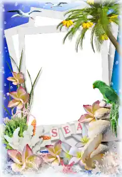 照片效果分类 夏 № 124282