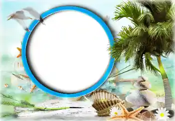 照片效果分类 夏 № 125919