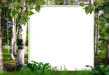 照片效果分类 夏 № 128567