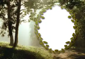 照片效果分类 夏 № 130985