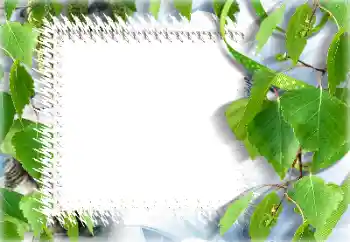 照片效果分类 夏 № 132911 照片效果分类 夏 № 132911