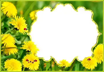 照片效果分类 夏 № 132994 照片效果分类 夏 № 132994