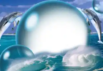 照片效果分类 夏 № 138513 照片效果分类 夏 № 138513