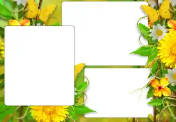 照片效果分类 夏 № 138523 照片效果分类 夏 № 138523