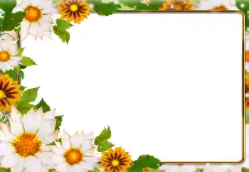 照片效果分类 夏 № 138646 照片效果分类 夏 № 138646