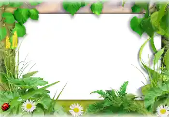 照片效果分类 夏 № 138647 照片效果分类 夏 № 138647