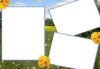 照片效果分类 夏 № 13915 照片效果分类 夏 № 13915
